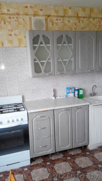 Сдам на длительный срок 2-ку, пр-т Пушкина - Изображение #3, Объявление #1607879