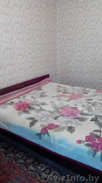 Сдам на длительный срок 2-ку, пр-т Пушкина - Изображение #4, Объявление #1607879