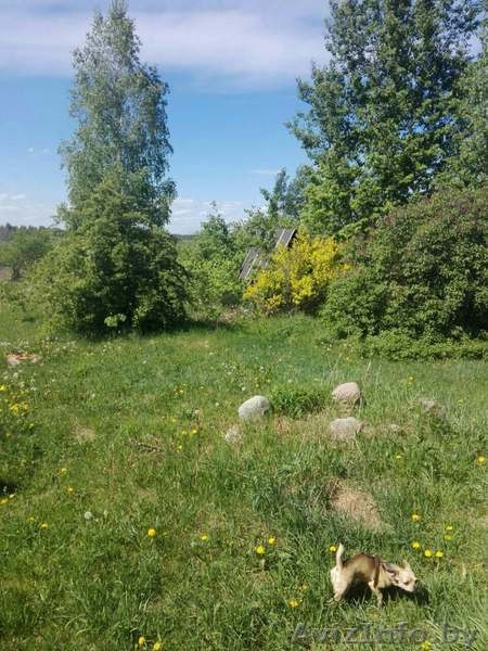 Дом в Смолевичском районе недорого, Московское направление - Изображение #4, Объявление #1605509