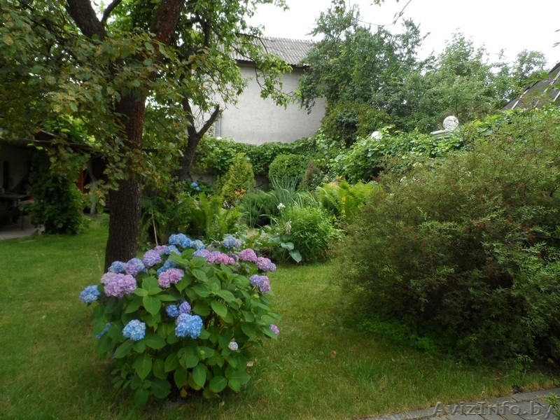 Сдам цокольный этаж на длительный срок - Изображение #3, Объявление #1607270