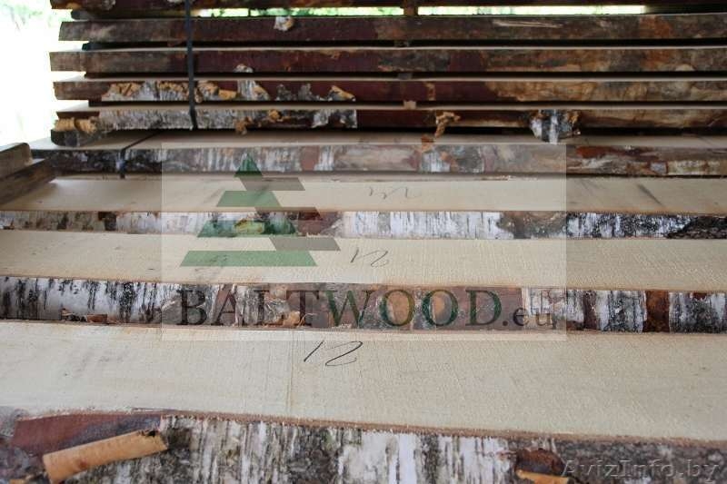 Компания из Латвии закупает оптом доски берёзы - Изображение #5, Объявление #1606849
