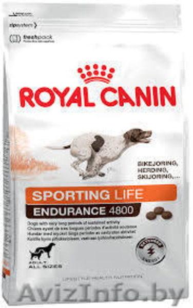 Корм сухой для собак продам Минск - Изображение #4, Объявление #1606478