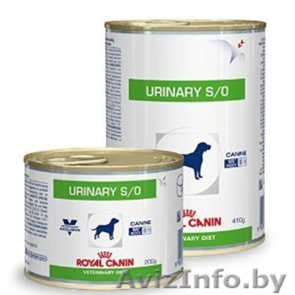 Корм влажный для собак продам Минск - Изображение #3, Объявление #1606479