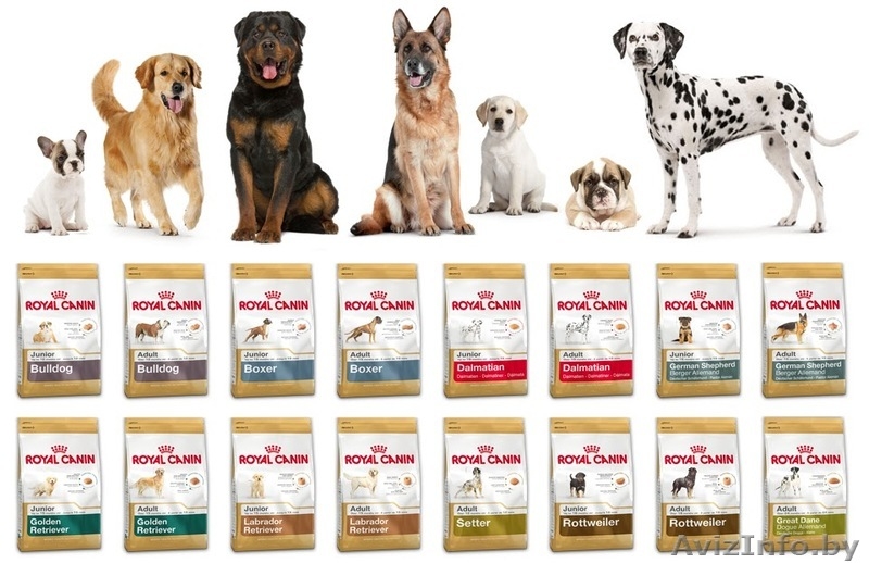 Корм для кошек и собак продам Минск - Изображение #2, Объявление #1606704