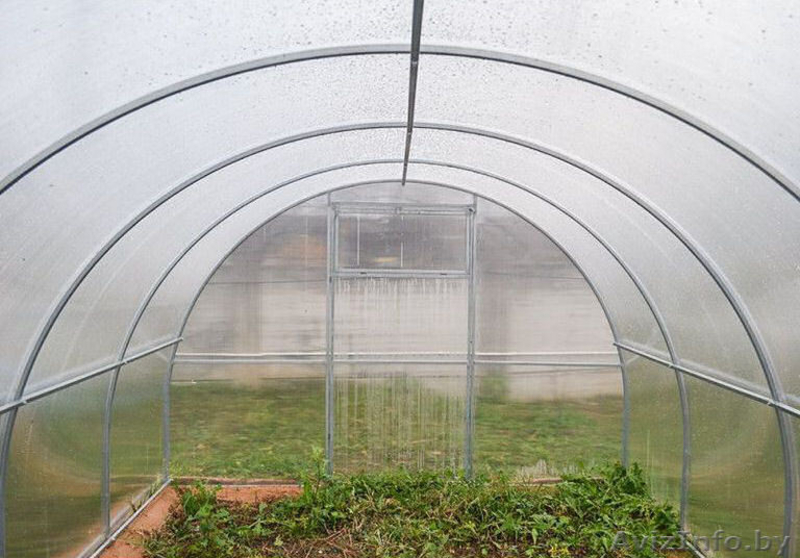 Теплица Сибирь Элит - Изображение #3, Объявление #1611217