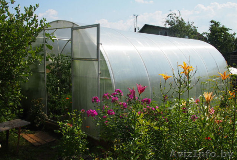 Теплица Сибирь Автоинтеллект - Изображение #1, Объявление #1611218