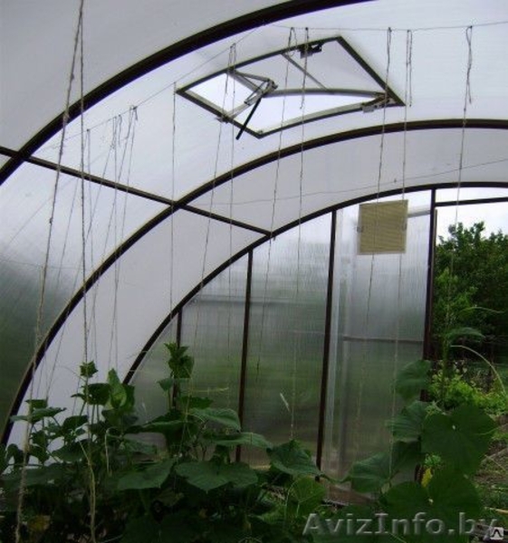 Теплица Сибирь Автоинтеллект - Изображение #2, Объявление #1611218