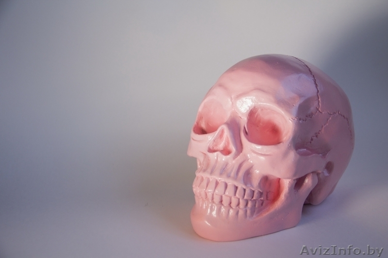 Сувенир Копилка "Череп" - Изображение #4, Объявление #1611399