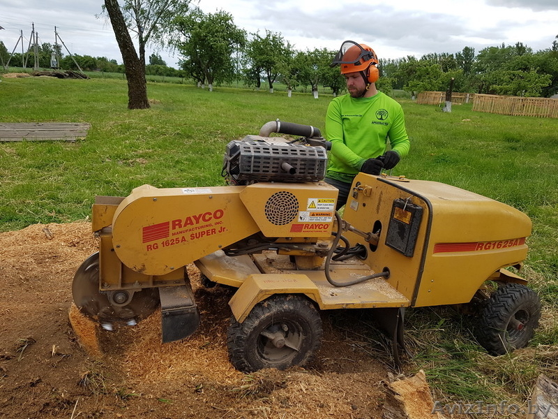 Профессиональное удаление деревьев любой сложности по всей Беларуси - Изображение #3, Объявление #1612830