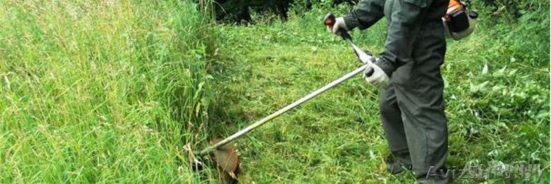 ПОКОСИТЬ ТРАВУ, СКОСИТЬ БУРЬЯН, ПОДСТРИЧЬ ГАЗОН - Изображение #5, Объявление #1612838