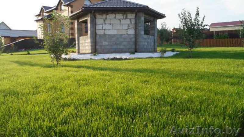 ПОКОСИТЬ ТРАВУ, СКОСИТЬ БУРЬЯН, ПОДСТРИЧЬ ГАЗОН - Изображение #7, Объявление #1612838