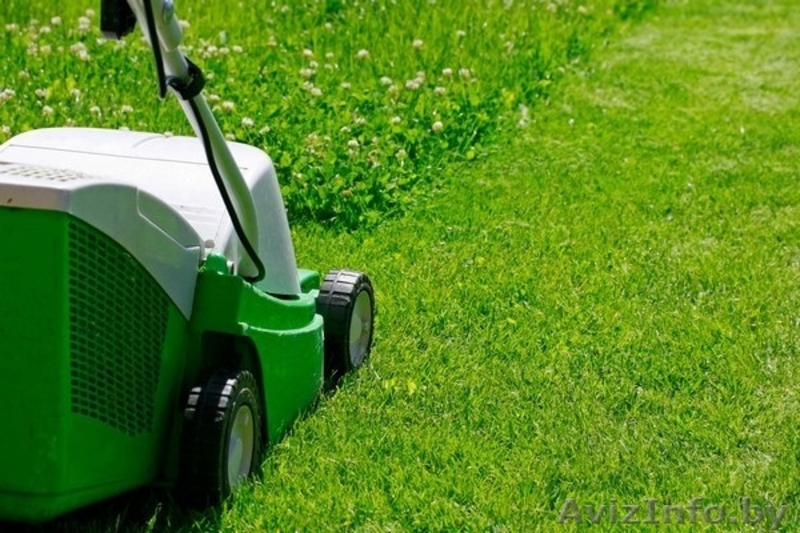 Покос травы, косьба, стрижка газонов и бурьяна в Минске и пригороде  - Изображение #3, Объявление #1621387