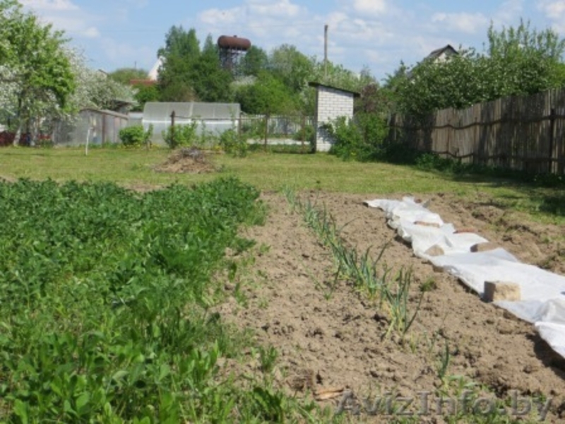 Продам дачу в СТ - Изображение #9, Объявление #1618749