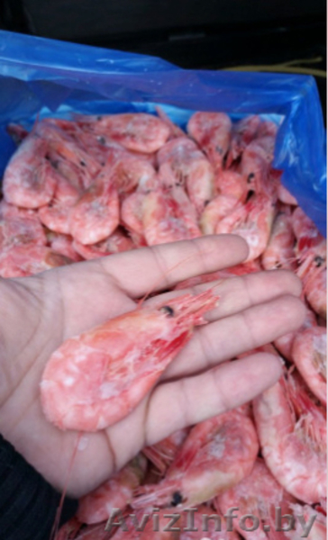 Доставка икры с Камчатки - Изображение #3, Объявление #1620457