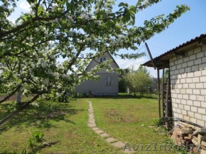 Продам дачу в СТ - Изображение #5, Объявление #1618749