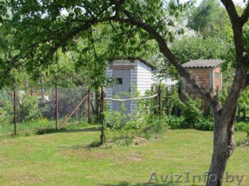 Продам дачу в СТ - Изображение #6, Объявление #1618749