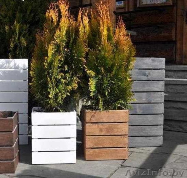 Деревянные кадки и кашпо для деревьев и растений уличные. - Изображение #3, Объявление #1623165