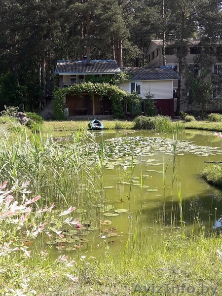 Сдам домик в сосновом лесу - Изображение #7, Объявление #1621781