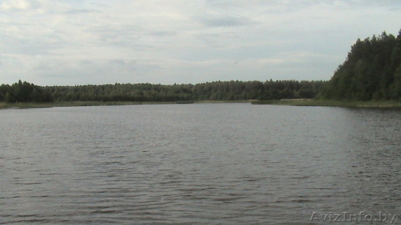 Дом у озера - Изображение #4, Объявление #1625921