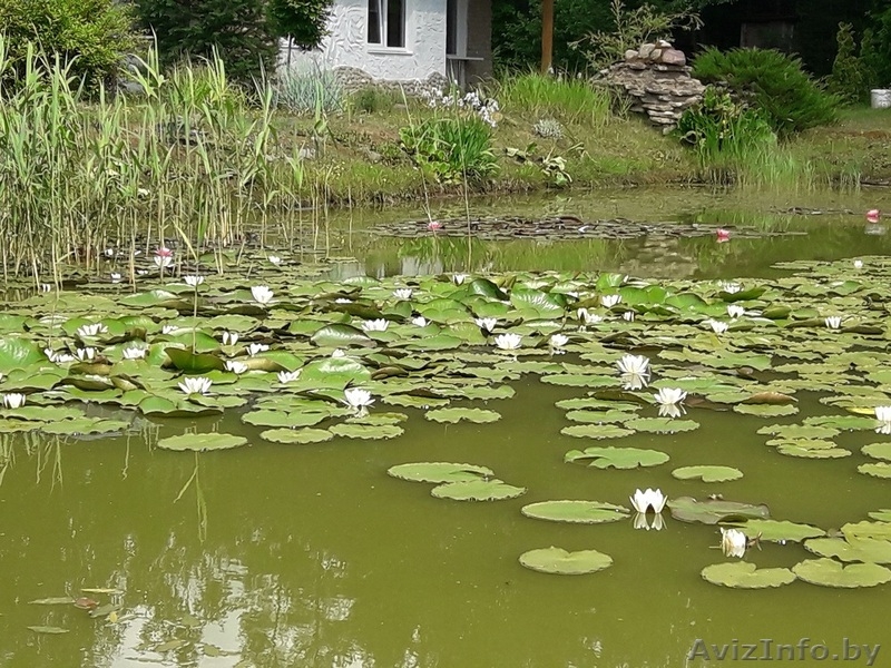  Дом  на опушке леса - Изображение #6, Объявление #1625408