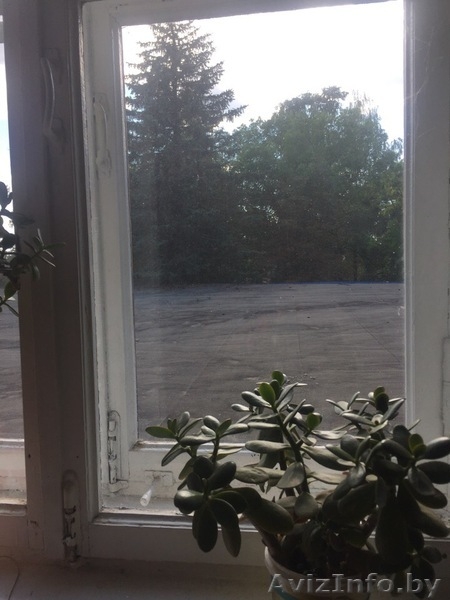 1 к кв хрущ аг Лапичи  2 эт  4 эт дома кирпич Армейская 4 - Изображение #9, Объявление #1630500