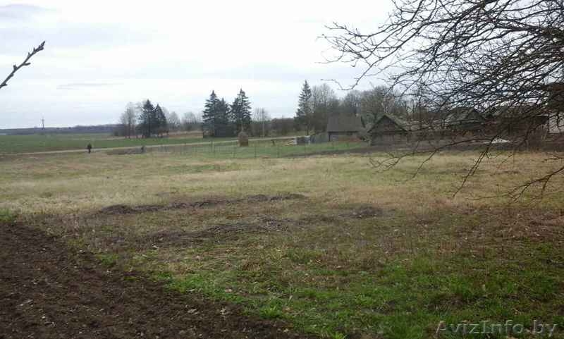 Продам участок 15сот, Минская обл., Смолевичский р-н. - Изображение #4, Объявление #1628841