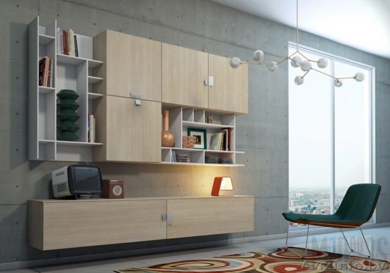 МЕБЕЛЬ ДЛЯ ГОСТИНОЙ на заказ. Приятные цены. Отличное качество. - Изображение #9, Объявление #1635346