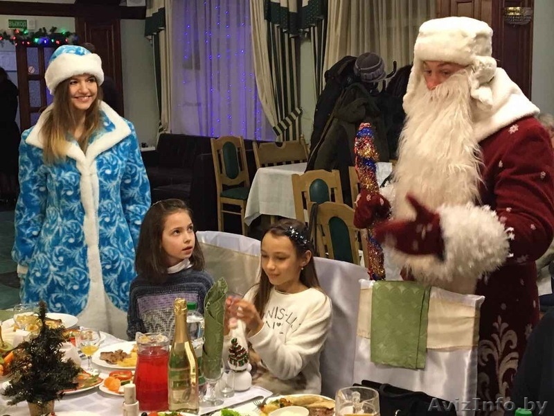 Шоу-программа от Деда Мороза и Снегурочки. Скучно не будет!!! - Изображение #3, Объявление #1638483