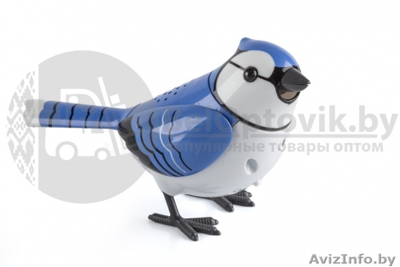 Интерактивная игрушка поющая птичка Chirpy Birds - Изображение #4, Объявление #1639638