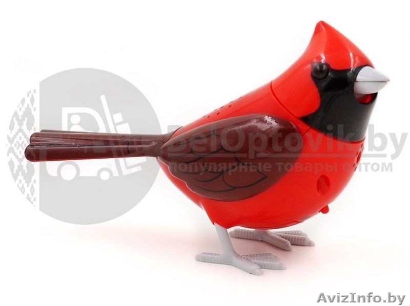 Интерактивная поющая птичка Сhippy Birds - Изображение #3, Объявление #1639939