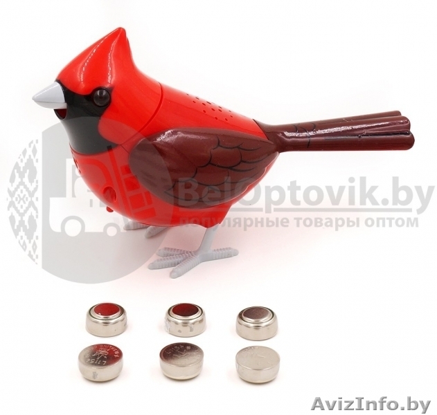 Интерактивная поющая птичка Сhippy Birds - Изображение #5, Объявление #1639939