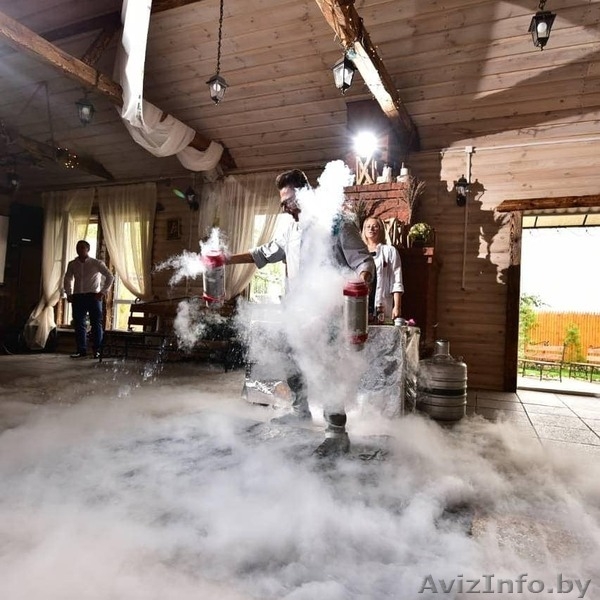 Азотное шоу, шоу с ждиким азотом, крио шоу, шоу на свадьбу - Изображение #8, Объявление #1639138