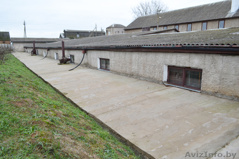 Здание административно-производственное - Изображение #5, Объявление #1638754