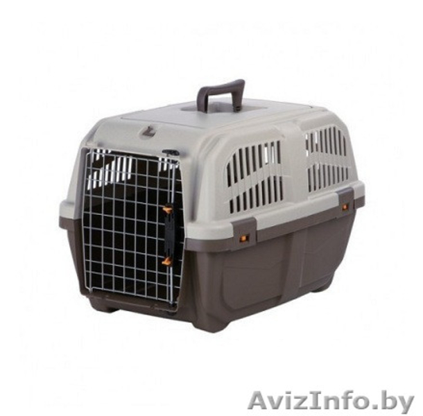 Прокат переносок для животных - Изображение #4, Объявление #1638254