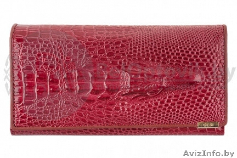 Кролики из питомника веселый хвостик - Изображение #5, Объявление #1642290