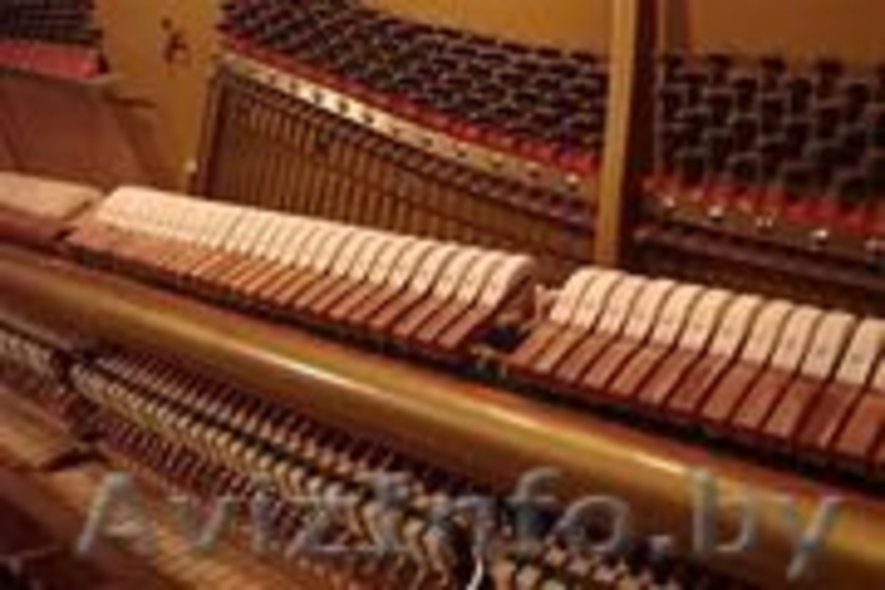 Настройщик фортепиано. - Изображение #2, Объявление #1642128