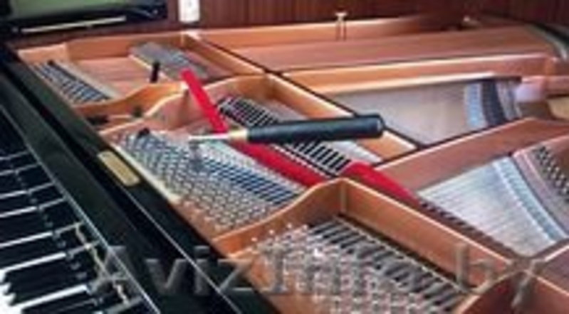 Настройщик фортепиано. - Изображение #1, Объявление #1642128