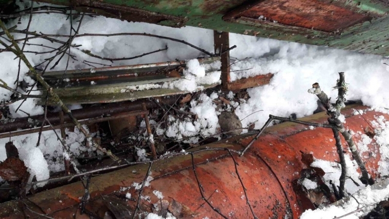 Транспортер шнековый коричневый - Изображение #5, Объявление #1645328