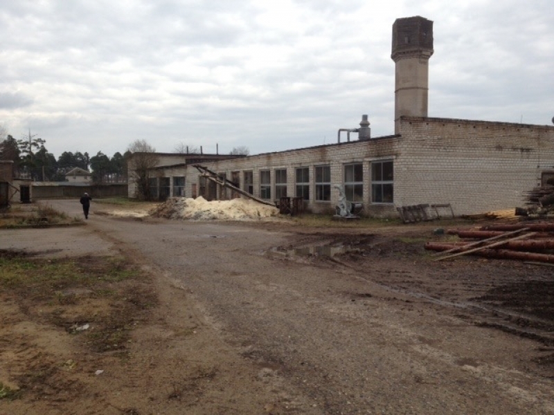 Лесопильный и столярный цеха, продажа или аренда - Изображение #4, Объявление #1645508