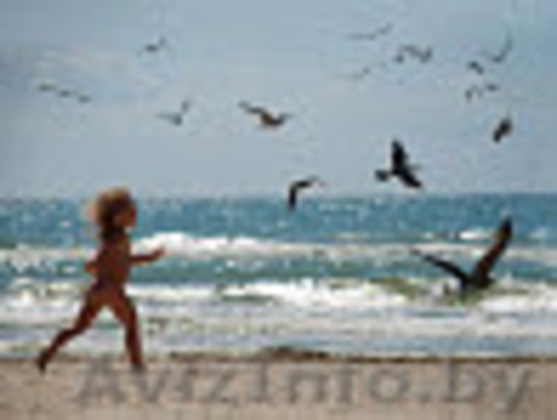 Семейный отдых на море.Отель АДАМ И ЕВА.Затока  - Изображение #6, Объявление #1642645