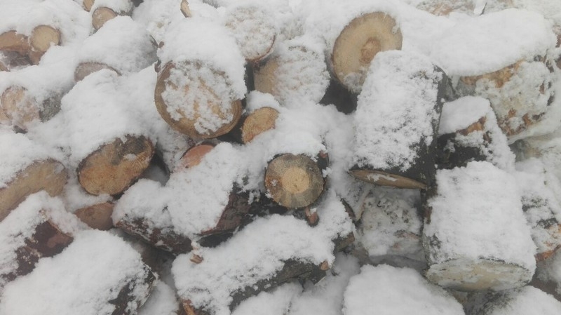 Отходы деревообработки, паллетка "некондиция", дрова - Изображение #3, Объявление #1647245