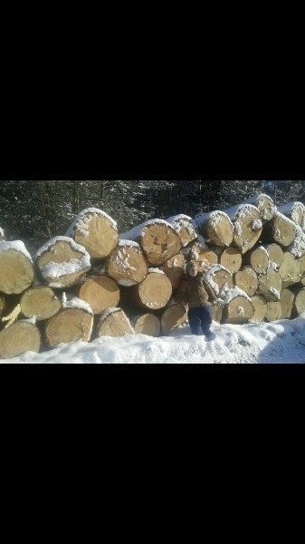 Лес строевой для сруба - Изображение #1, Объявление #1646898