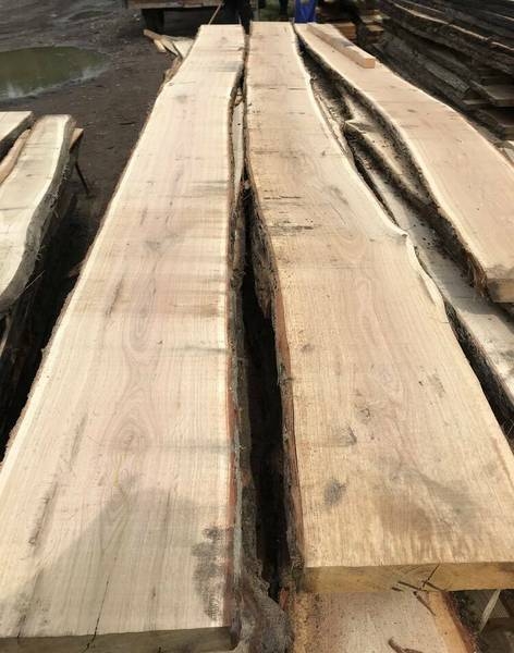 Доска дуба 55мм ширина раскрытия от 20 см Минск - Изображение #3, Объявление #1656102