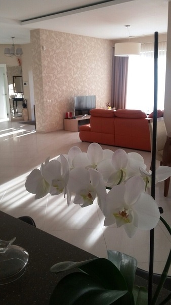 Предложение для тех, кто хочет наслаждаться всеми преимуществами загородной жизн - Изображение #6, Объявление #1667601