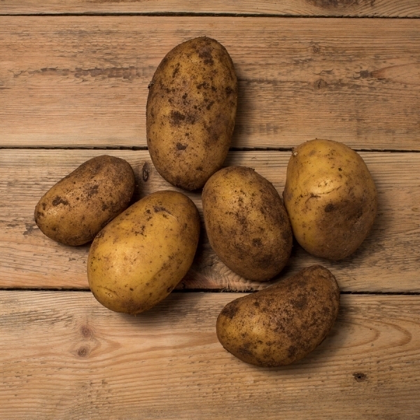 Продам излишки домашнего картофеля в Минске - Изображение #1, Объявление #1668297