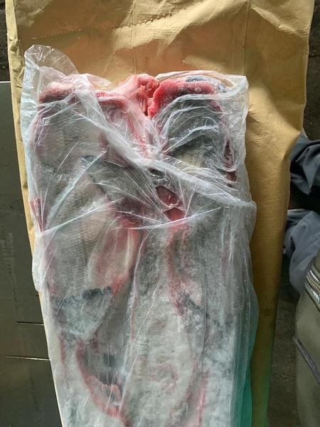 Икра кеты, горбуши, кижуча камчатская. - Изображение #7, Объявление #1669345