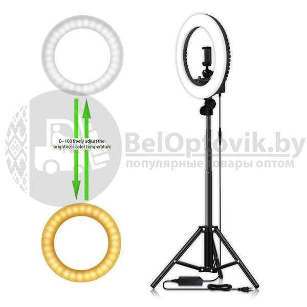 Кольцевая лампа на штативе LED RING 336 светодиодов, d335 мм  сумка С зеркалом - Изображение #4, Объявление #1671166