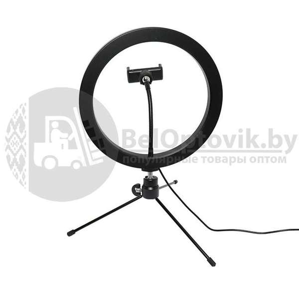 Кольцевая светодиодная лампа подсветка MINI LED 160 d26 см  ШТАТИВ - Изображение #4, Объявление #1668196