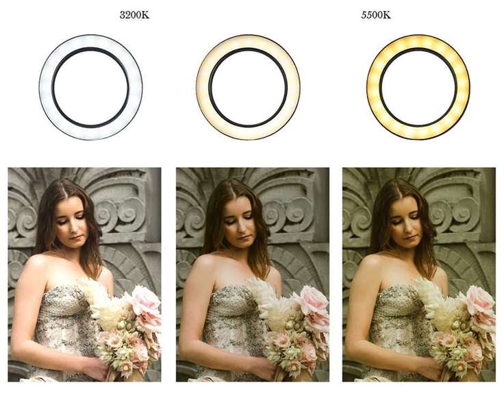 Кольцевая светодиодная лампа LED Ring 26 см  Пульт Штатив2.1М Держатель для телефона - Изображение #8, Объявление #1668207