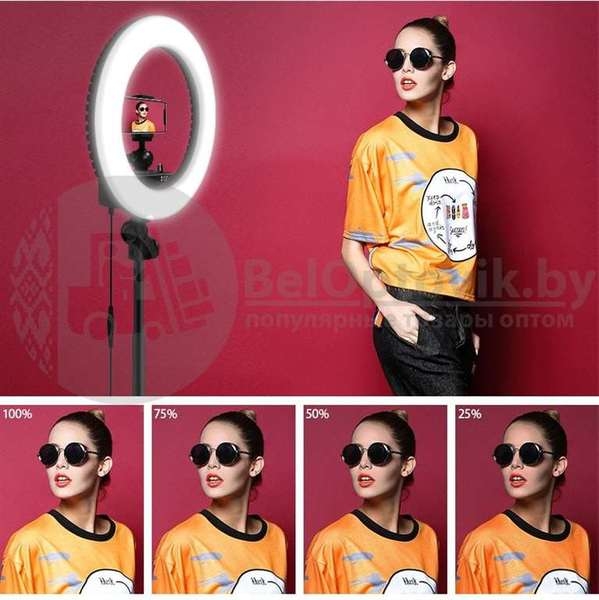 Кольцевая лампа на штативе LED RING 336 светодиодов, d335 мм  сумка С зеркалом - Изображение #8, Объявление #1671166